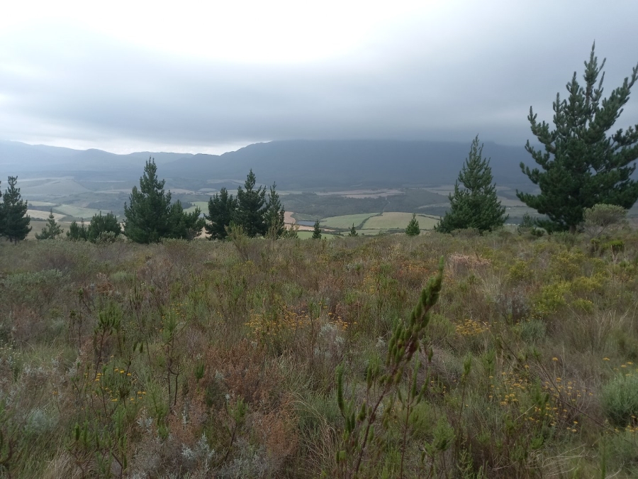  Bedroom Property for Sale in Riversdale Rural Western Cape